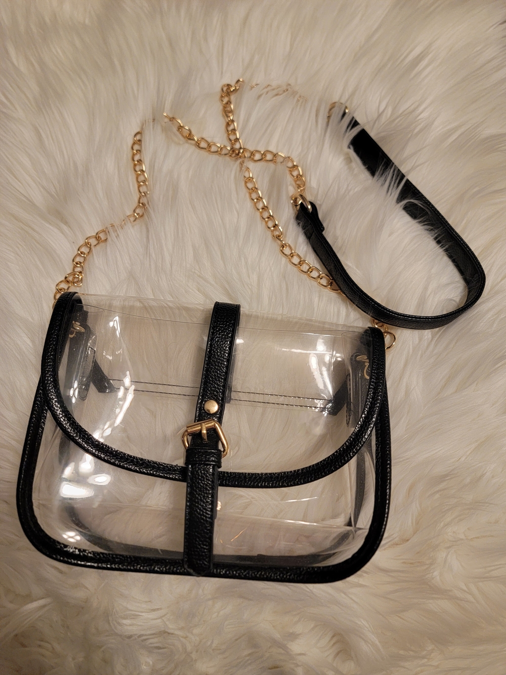 Clear Crossbody Bag with Black Trim and Gold Chain
